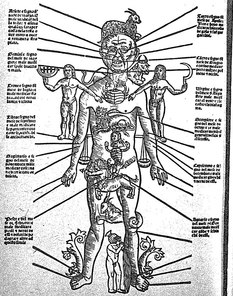 anatomic-man-zodiac_0